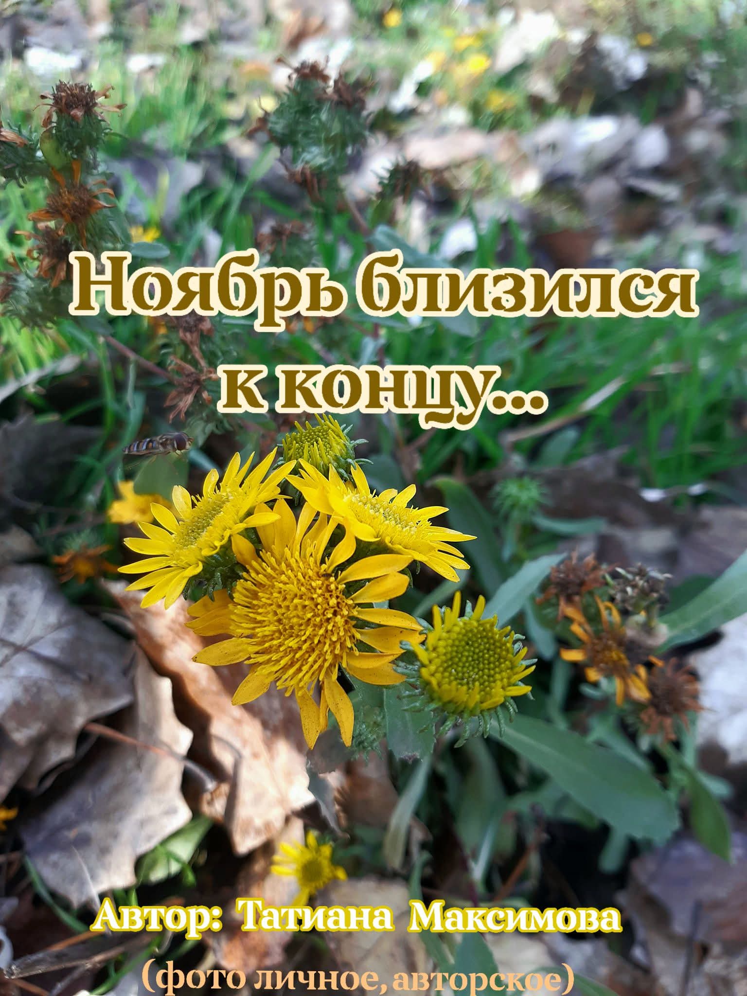 Ноябрь близился к концу...