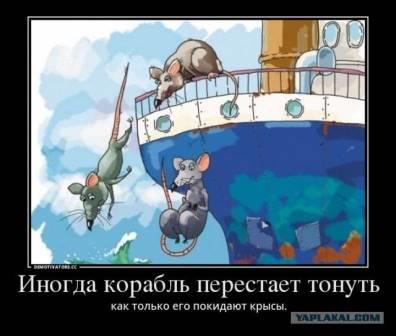 А крысы бегут с корабля