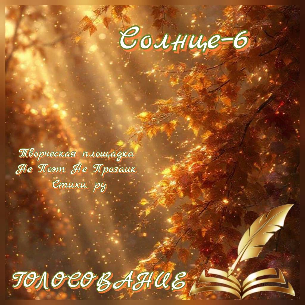 Солнце-6 Голосование