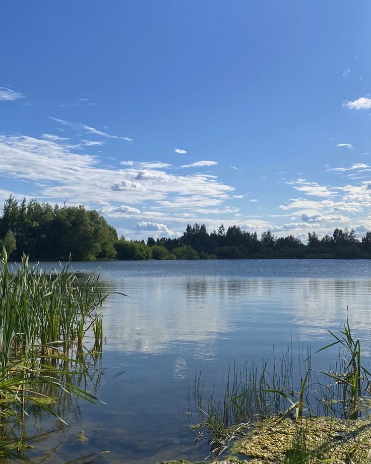 Милая купалась...