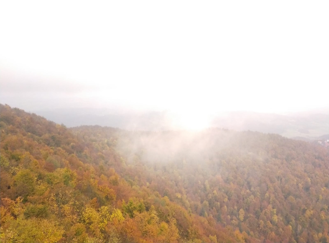 Осень-чародейка