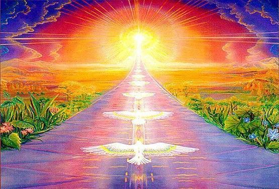 Надо всё принимать