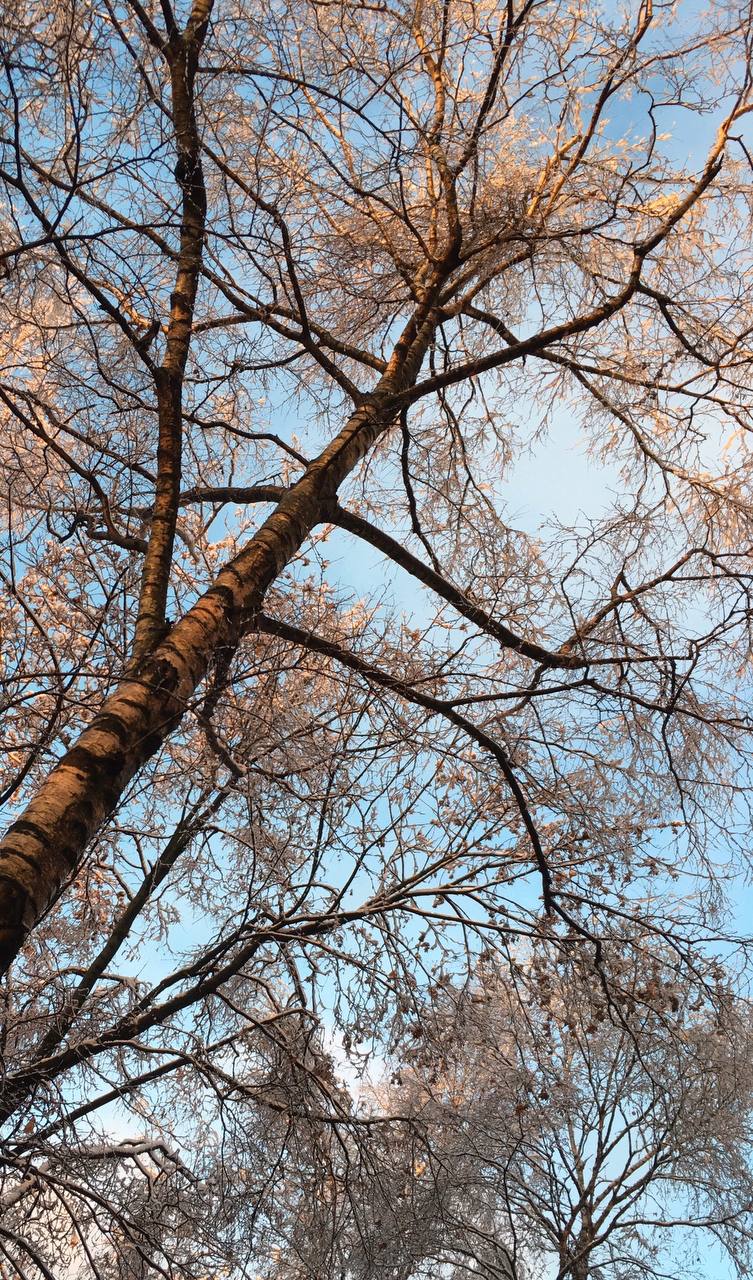 В веере настроения чудес Ноября