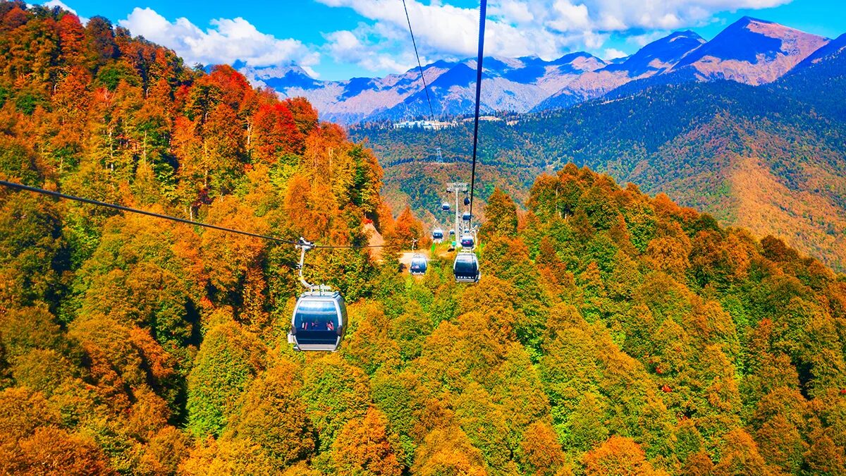 Осень 2025 года