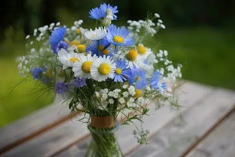 Нектар - наркотик весны