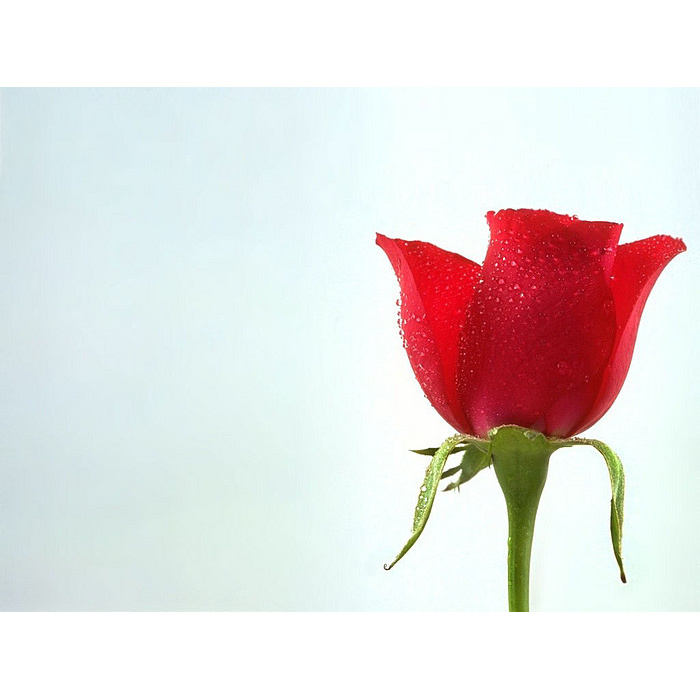 Теплые слова