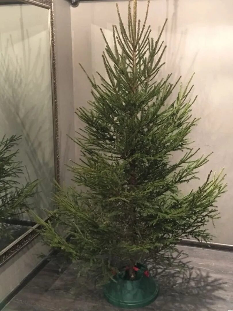 Предновогоднее...