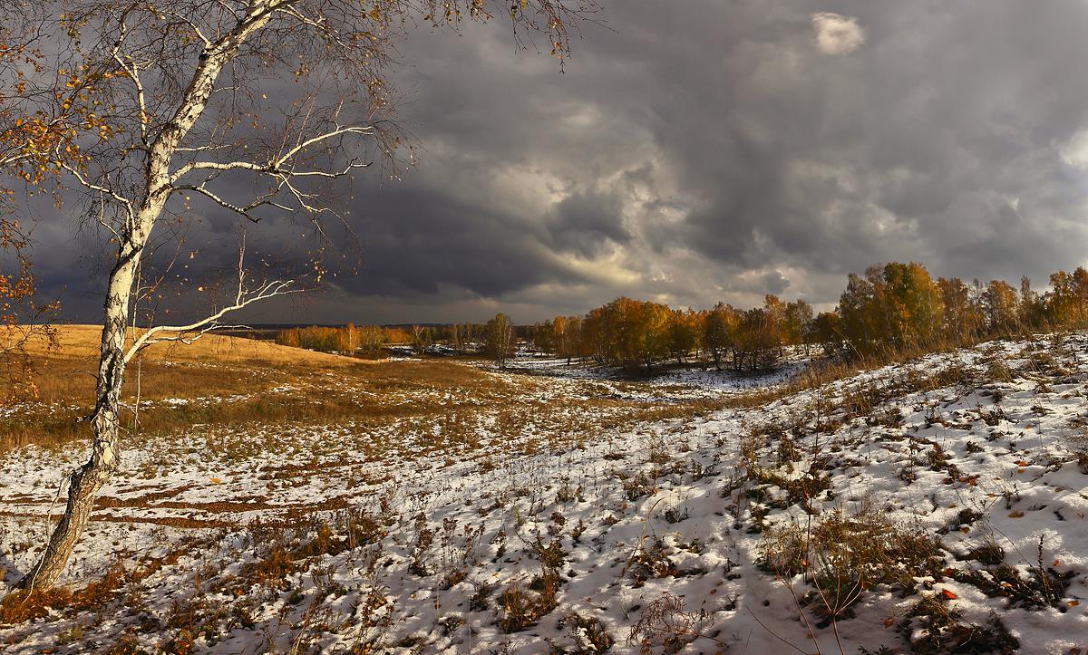Сиротливая осень