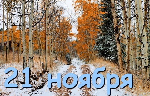 Двадцать первое ноября 2025 г