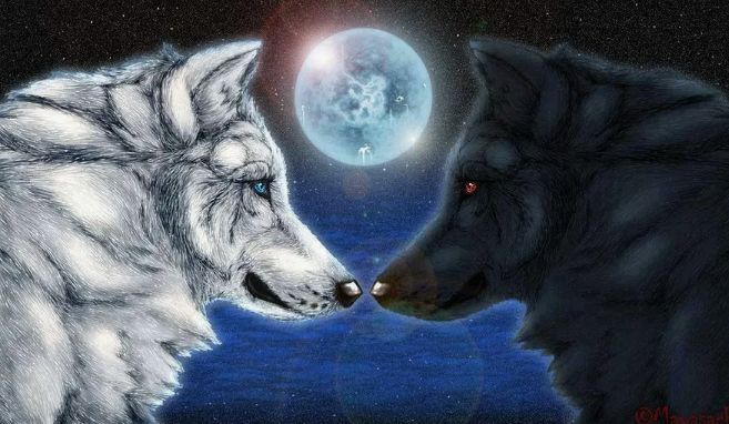 Моя Волчица-Кискин Евгений