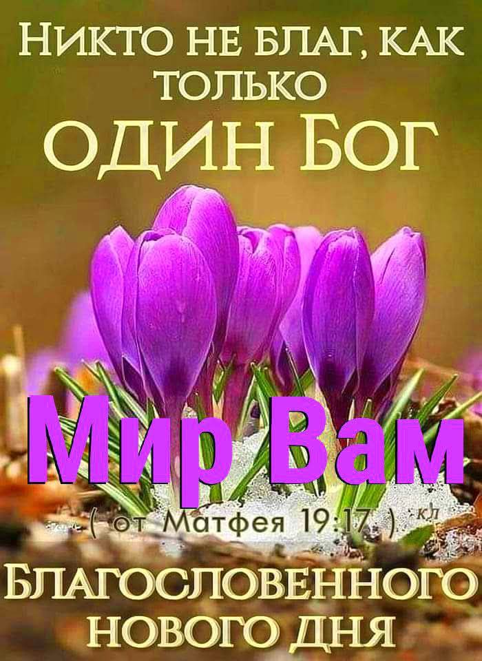 Завет Творца