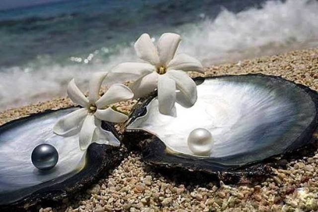 Ночь пахнет йодом, смолою, магнолией