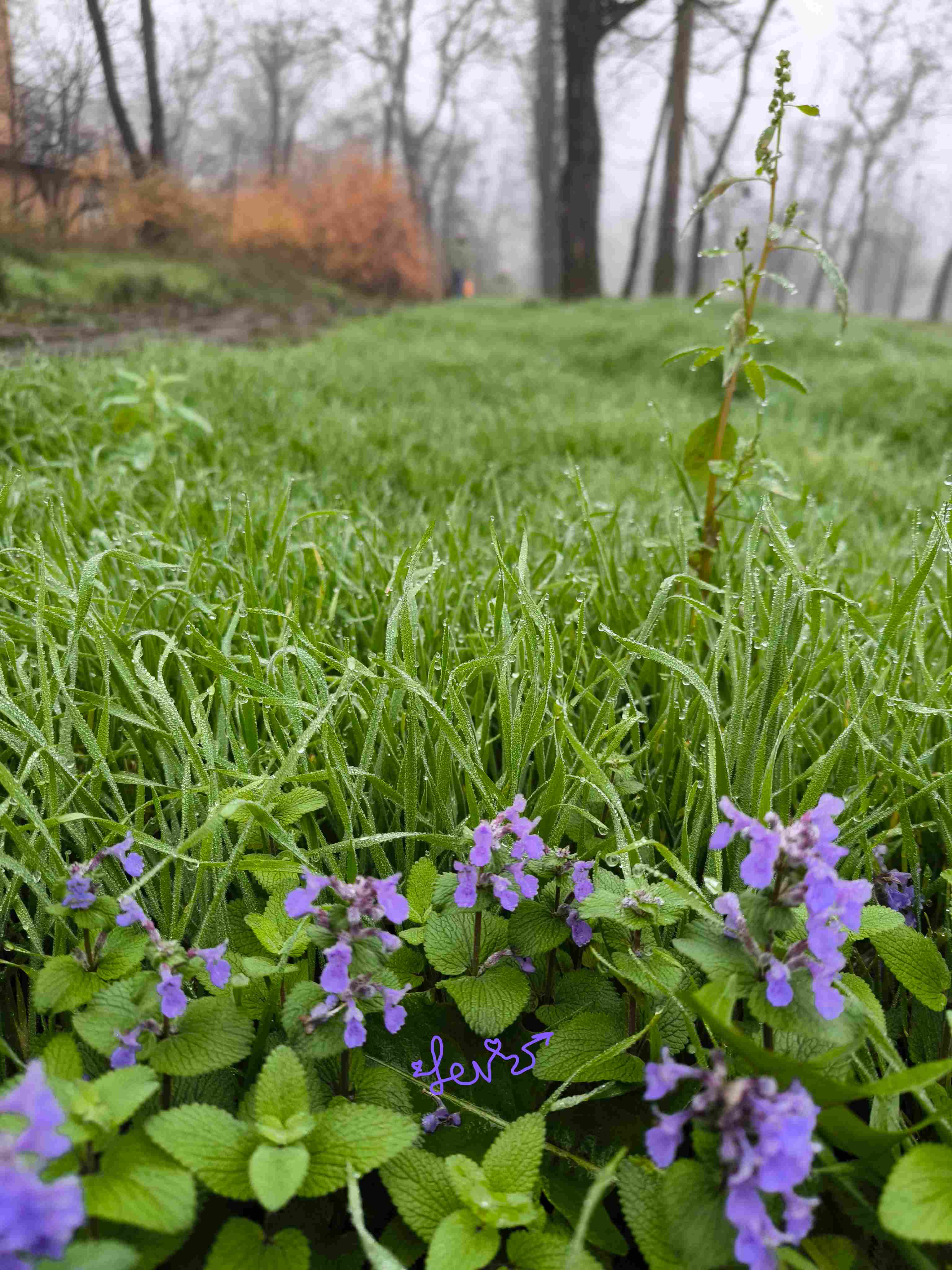 светить с я