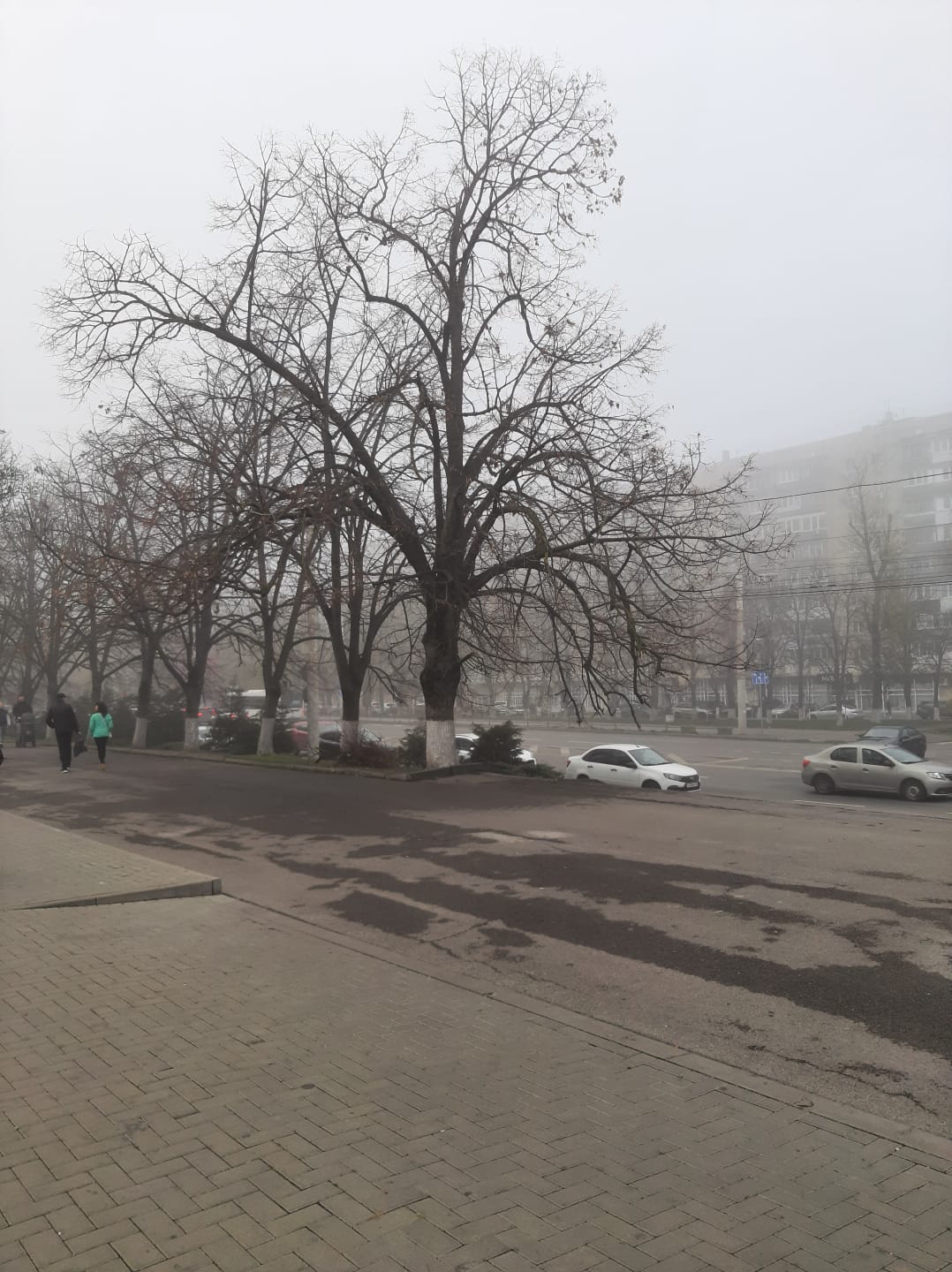 В осеннем тумане