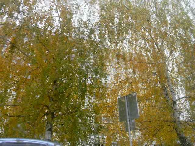 Проливается дождь золотой...