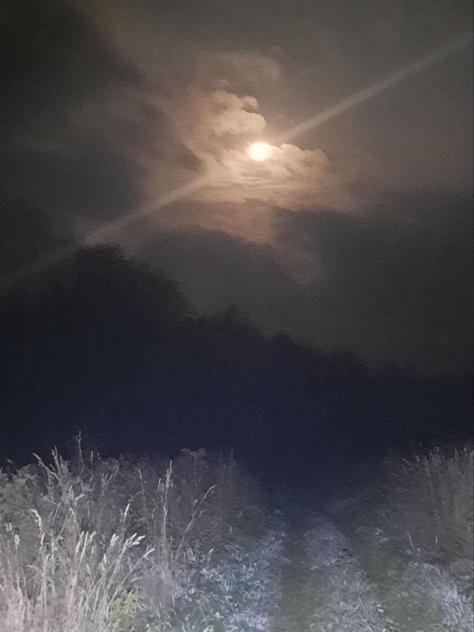 В сад нет широкого пути