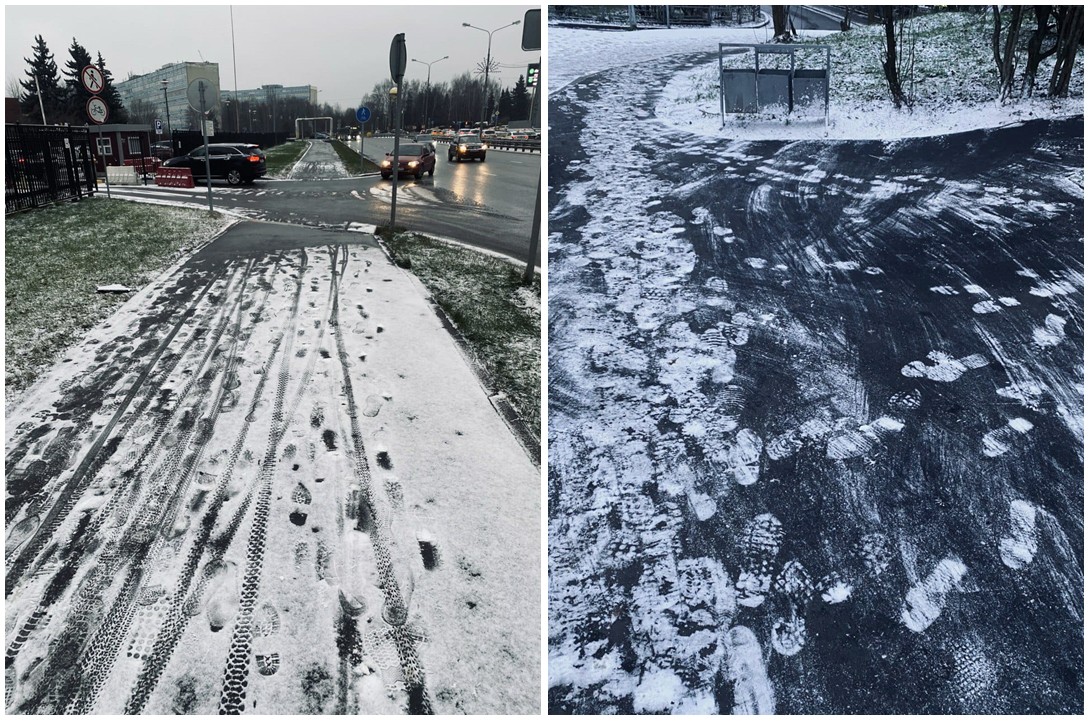 По снегобабовым следам