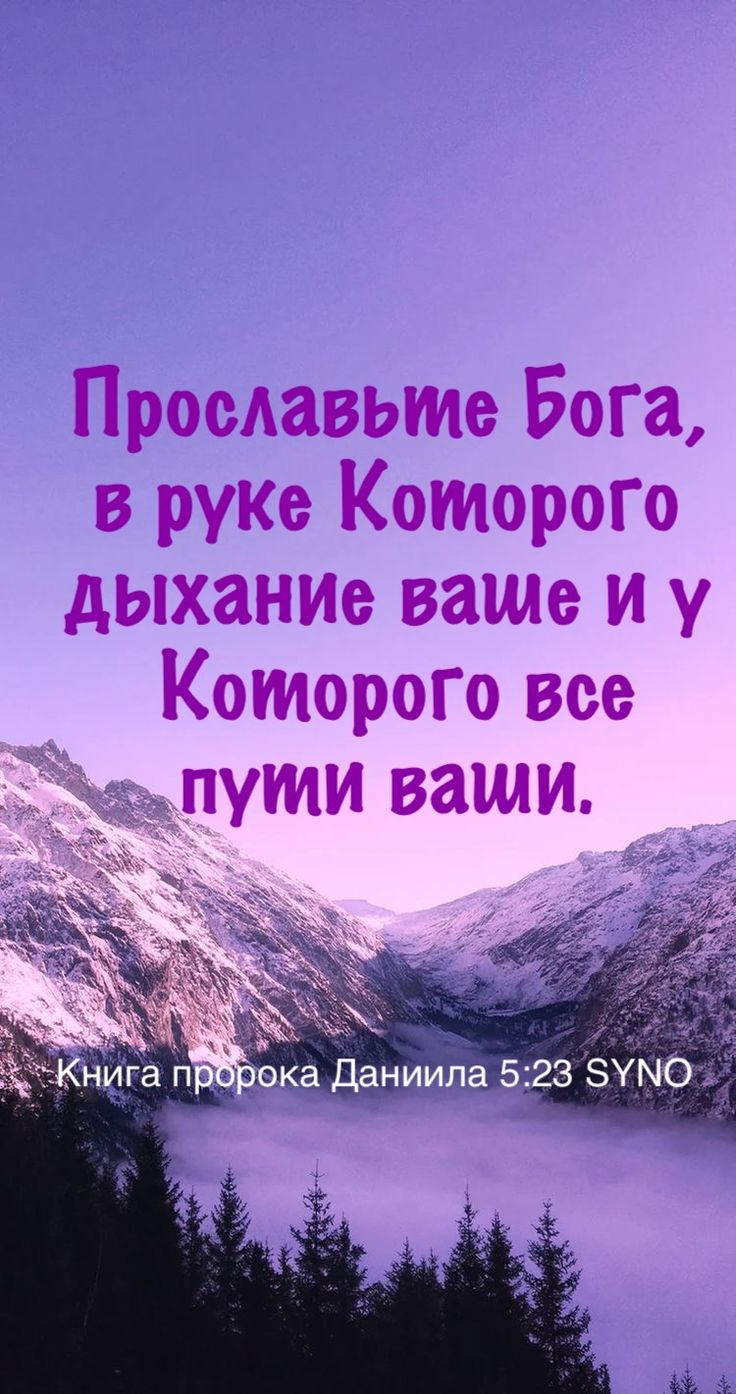 Пока сердце моё ещё дышит