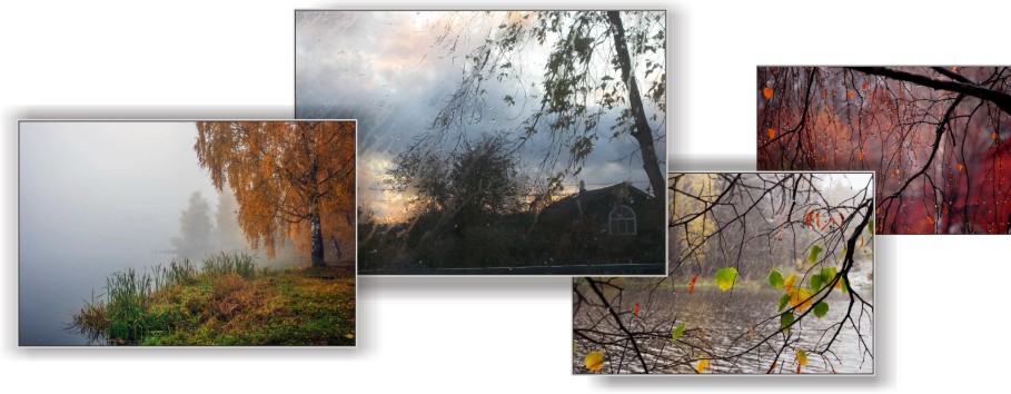 Под осеннюю песню дождя