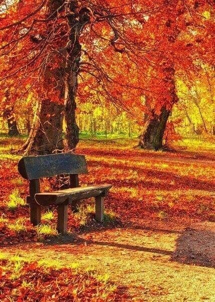 До сих пор не ведаю