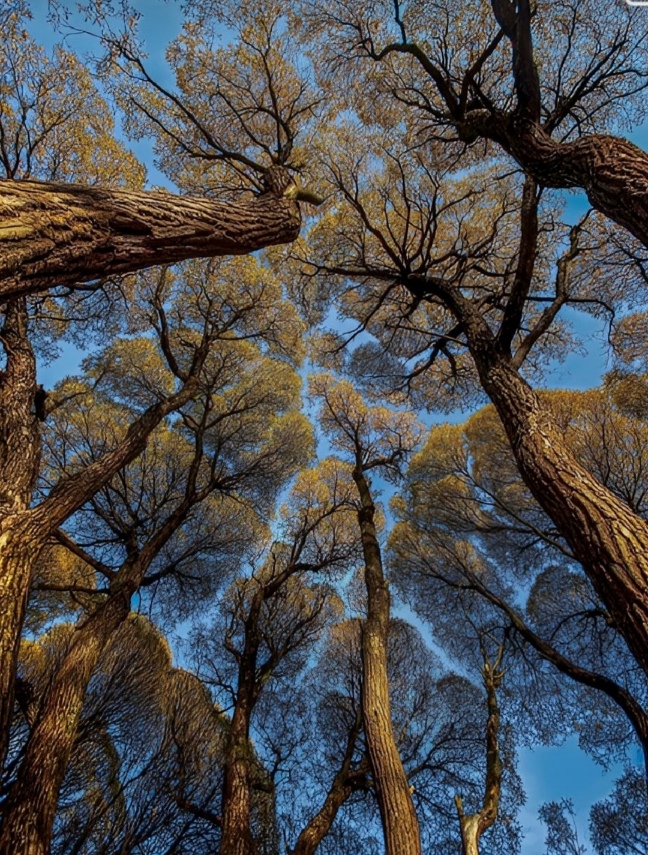 Последний день осени