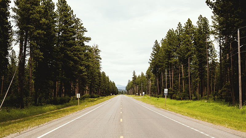 Художник-май