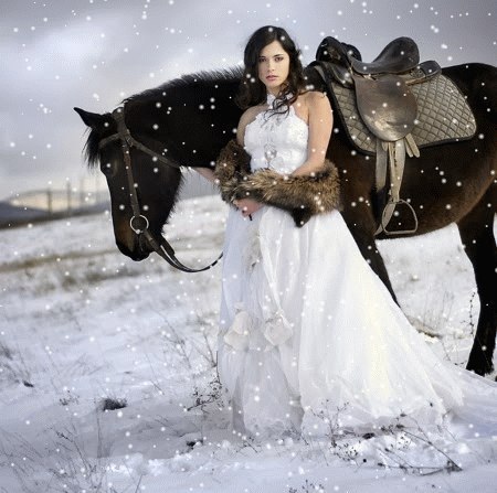 О красной розе