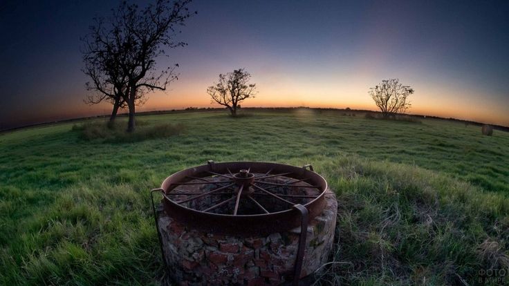 Прими из рук моих полынных
