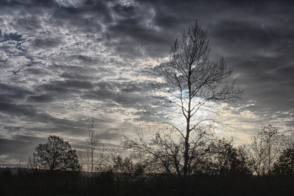Нависло небо серой мглой