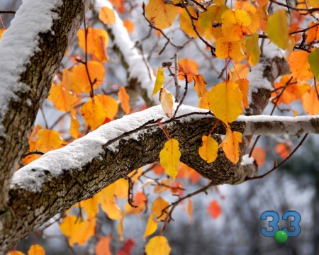 Пришла зима, блестят дороги!