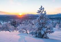 Впереди зима