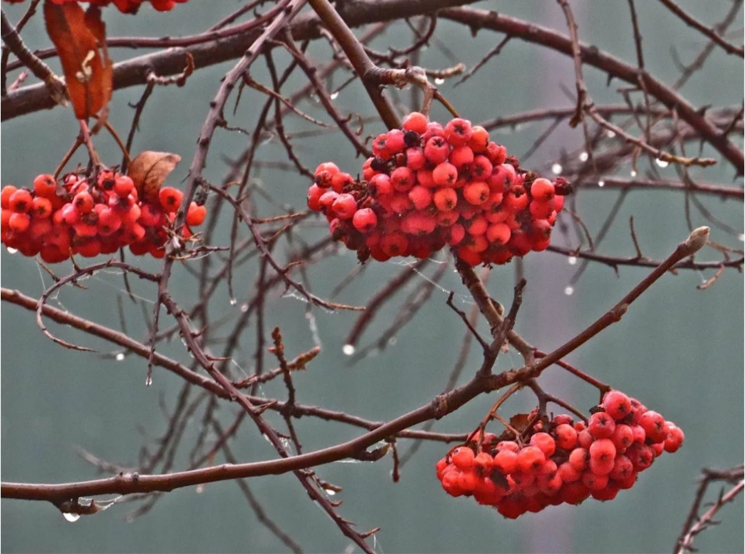 Время свинцовых луж