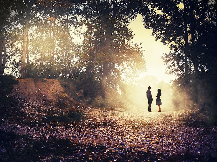 Где-то там, в тишине тридевятой лесной...