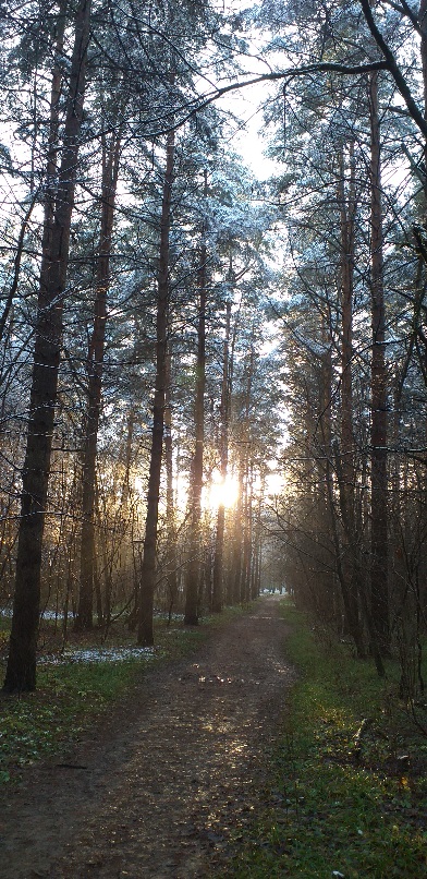 В конце пути