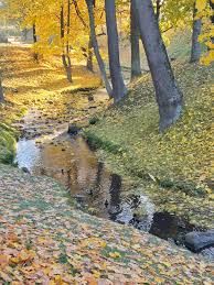 Упрямый лист