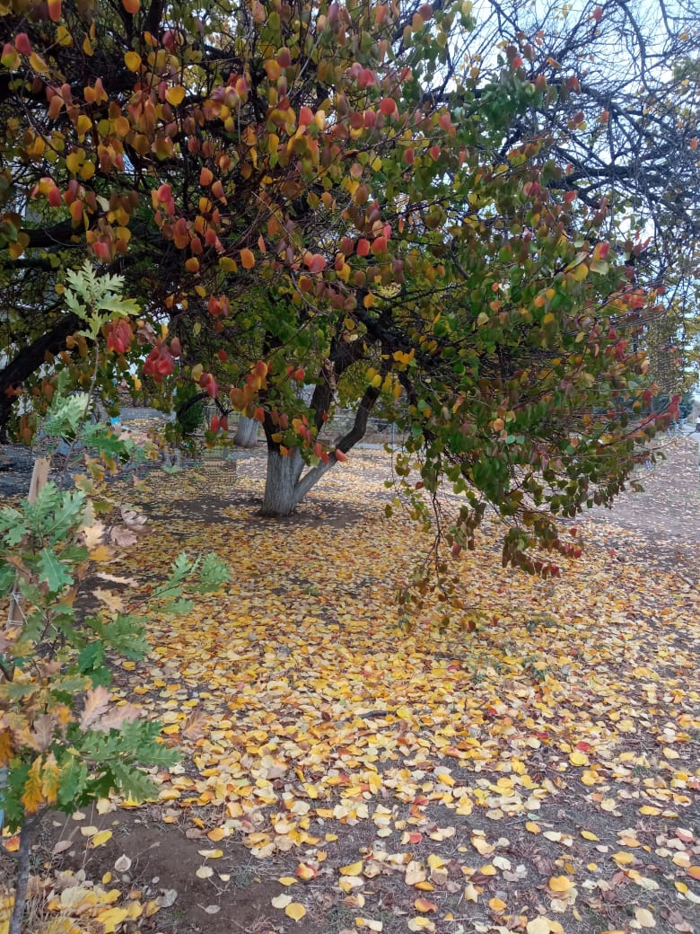 Лунный свет будет вхож в потайные ходы