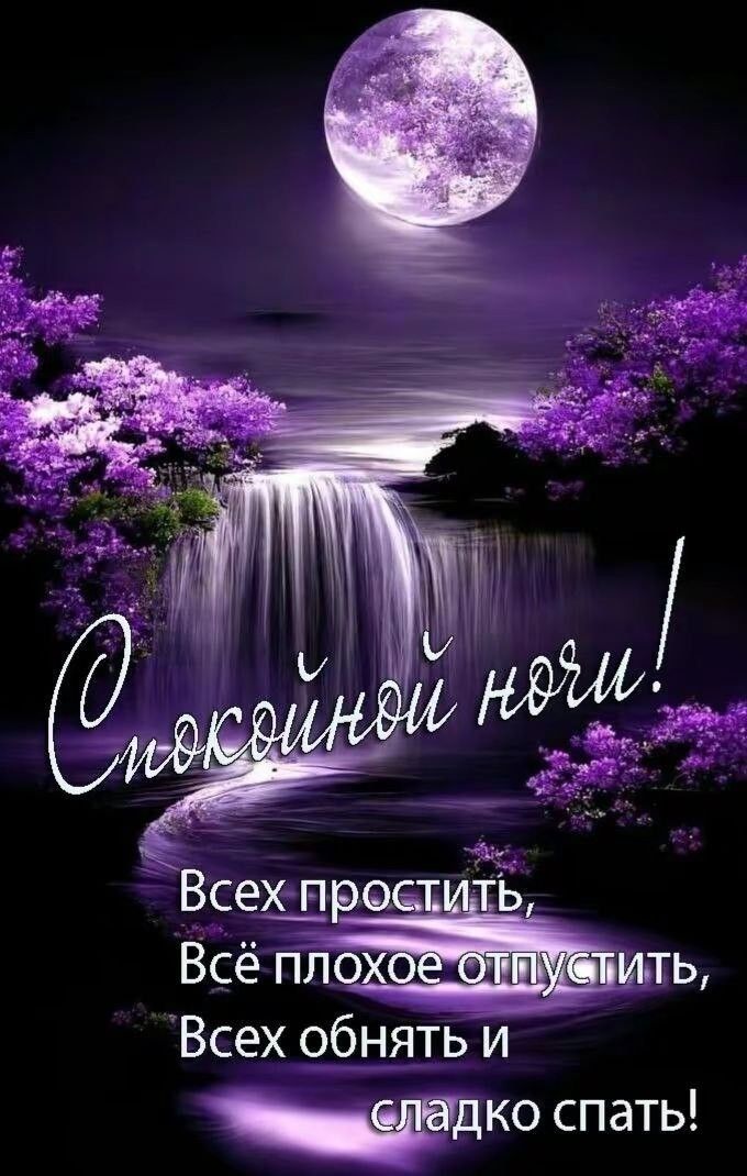 Сонный день