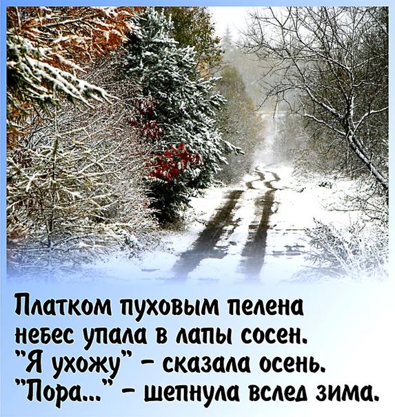 Зима ноябрь снегами провожает