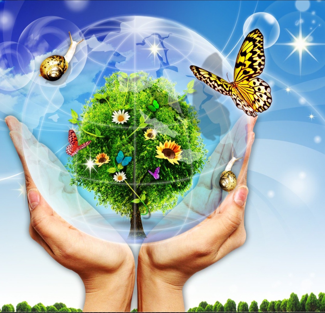 Не прекраснее нашей планеты