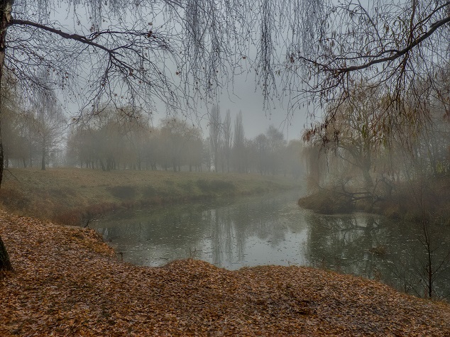 Наступила осень
