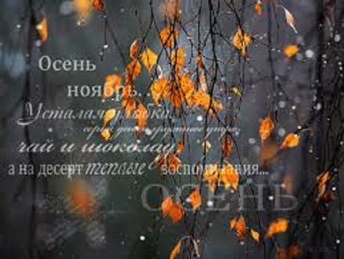 Ночной разговор