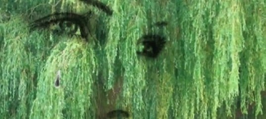 Горько плакать поэту