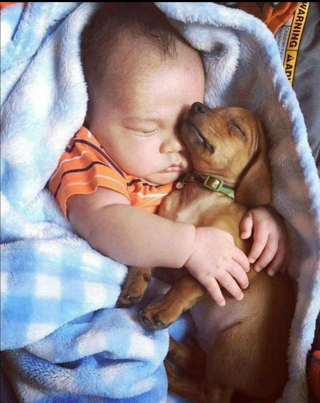 Дремлет месяц за окошком