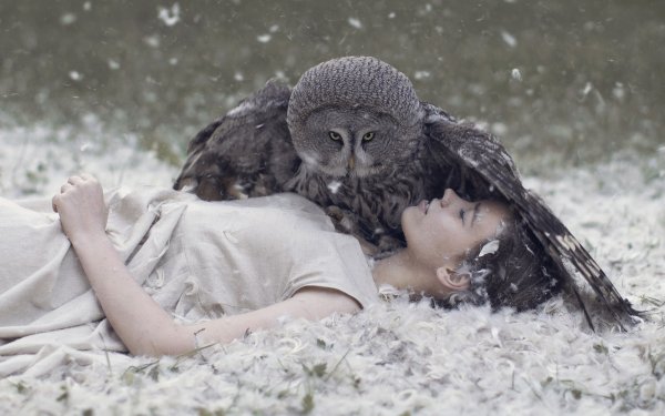 Сонные совы