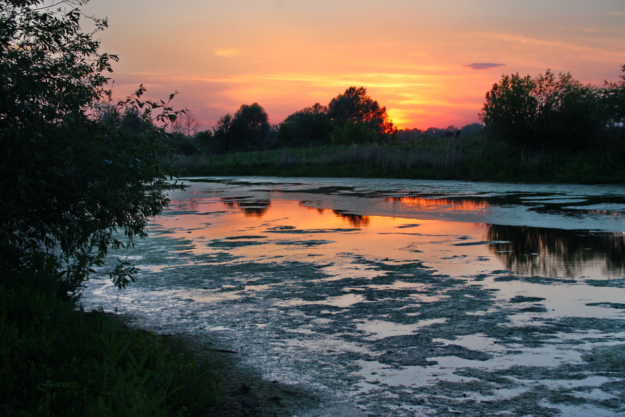 На землю опустилась тишина