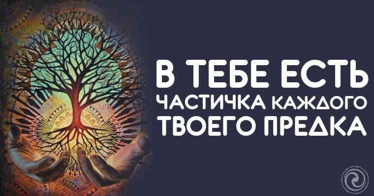 Превыше всех цени связь с родом