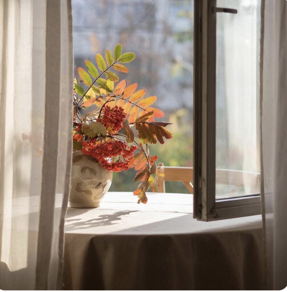 Ноябрь не вечен