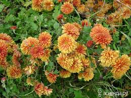 Это осень, мой друг