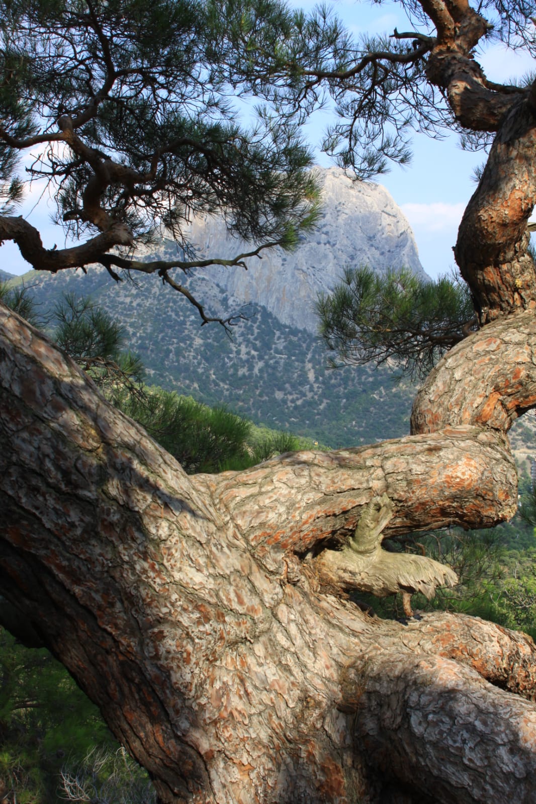 Неисповедимое