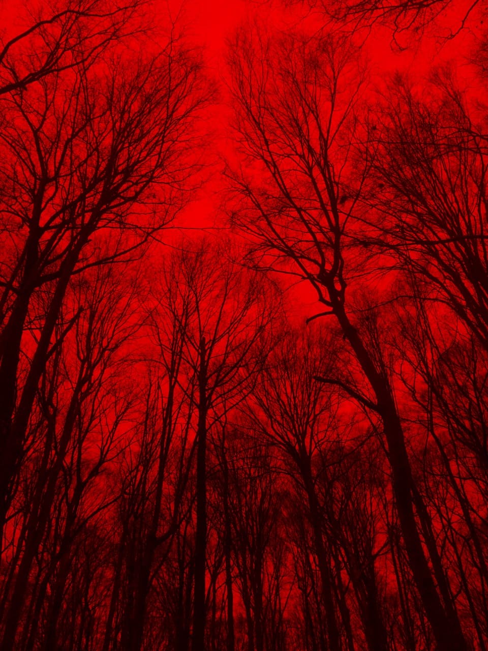 В преддверье